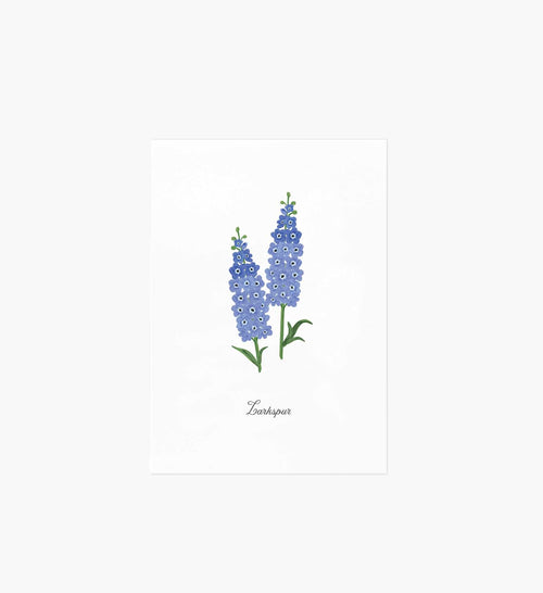 Birth Month Art Print - July