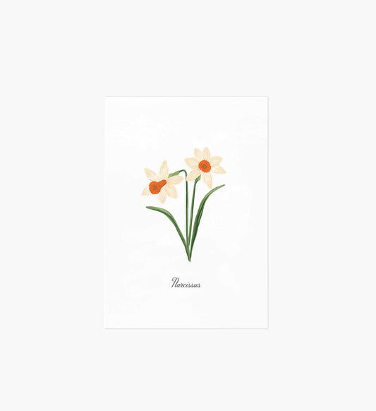 Birth Month Art Print - December