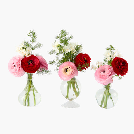 Nancy Bud Vases (Set of 3)