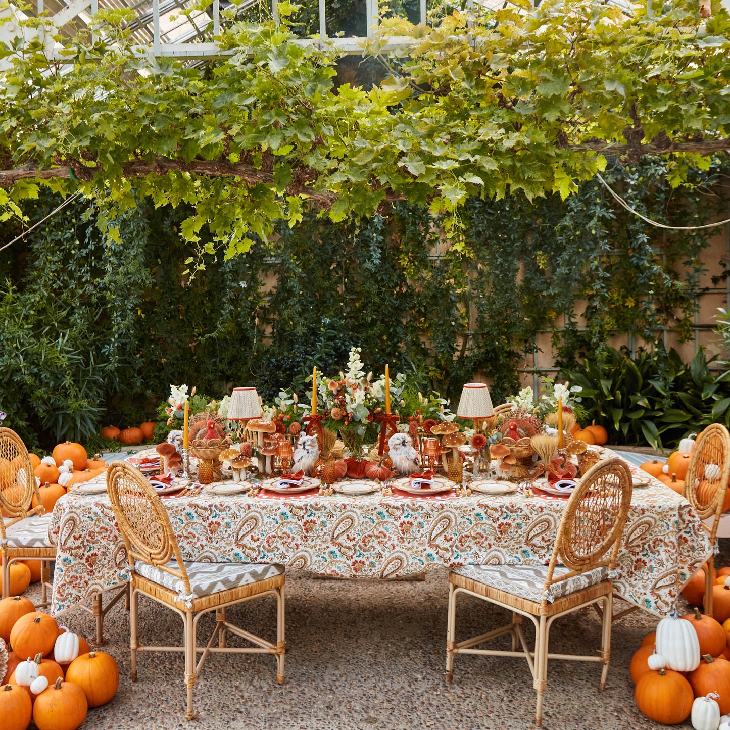 Orange Velvet Pumpkin Family