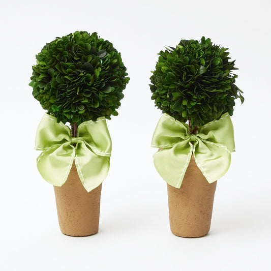 Potted Boxwood Ball with Green Bow (Pair)